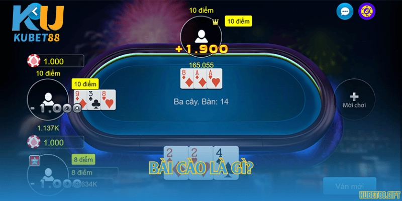 Bài cào là gì?